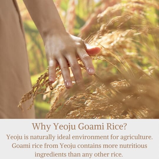rice water toner